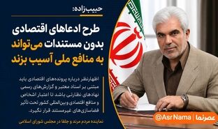 حبیب‌زاده: طرح ادعاهای اقتصادی بدون مستندات می‌تواند به منافع ملی آسیب بزند
