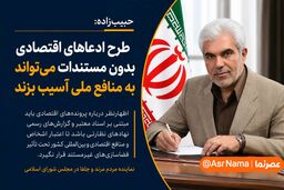 حبیب‌زاده: طرح ادعاهای اقتصادی بدون مستندات می‌تواند به منافع ملی آسیب بزند