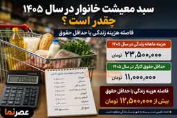 سبد معیشت خانوار در سال ۱۴۰۵ چقدر است؟ | فاصله هزینه زندگی با حداقل حقوق