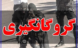 پایان خشن عامل ضرب‌وجرح دختر جوان در تهران با گلوله پلیس