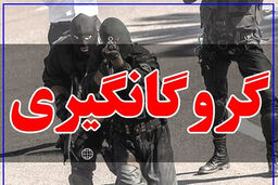 انهدام باند پیچیده آدم‌ربایی در جنوب کشور/ کارآگاهان هرمزگان دو نوجوان ربوده‌شده را آزاد کردند